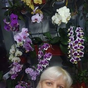  ,   , 47 ,     , c 