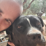 ���������� �����-���������, ���� ������� ��������, 36 ���, ������������ ��� ������, ����� � ���������, c�������� ���������