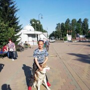  ,   , 43 ,   ,   