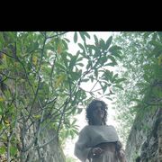 ���������� �������, ���� ������� ������, 29 ���, ������������ ��� ������, ����� � ���������