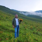 ���������� ������, ���� ������� ������, 43 ����, ������������ ��� ������, ����� � ���������