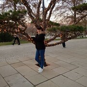 ���������� ������, ���� ������� �����, 52 ����, ������������ ��� ���������