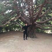 ���������� ������, ���� ������� ������, 38 ���, ������������ ��� c�������� ���������