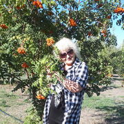  ,   , 58 ,   c , 