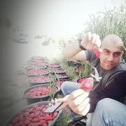 ���������� ������, ���� ������� Askar, 37 ���, ������������ ��� ������, ����� � ���������, c�������� ���������, ���������