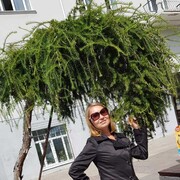  ,   , 50 ,   ,   , c 