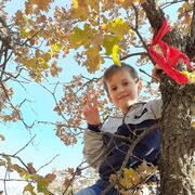 ���������� �����������, ���� ������� �����, 38 ���, ������������ ��� ������, ����� � ���������, c�������� ���������, ���������