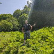 ���������� ������ ��������, ���� ������� �����, 39 ���, ������������ ��� ������, ����� � ���������