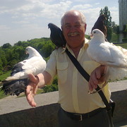  ,   , 76 ,   