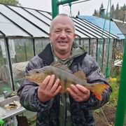 ,   , 48 ,   ,   