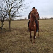 ���������� ���������, ���� ������� �������, 40 ���, ������������ ��� ������, ����� � ���������, c�������� ���������, ���������