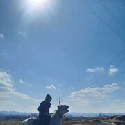 ���������� �����������, ���� ������� ���, 30 ���, ������������ ��� ������, ����� � ���������