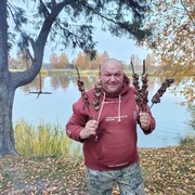 ���������� ����������, ������� ���������, 45