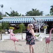  ,   Elena, 67 ,   ,   