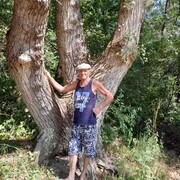 ���������� ������-��-����, ���� ������� ���������, 72 ����, ������������ ��� ������, ����� � ���������, c�������� ���������