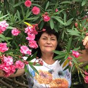 ���������� ������, ���� ������� ������, 61 ���, ������������ ��� ������, ���������