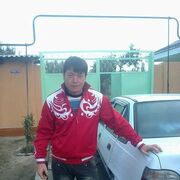 ���������� ������, ���� ������� SHAHBOZ, 38 ���, ������������ ��� ����� � ���������, c�������� ���������