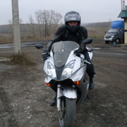  ,   , 41 ,   