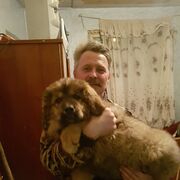  ,   , 54 ,   ,   
