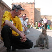 ���������� �����������, ���� ������� ����, 60 ���, ������������ ��� ������, ����� � ���������, c�������� ���������