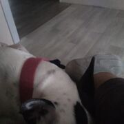 ���������� ������, ���� ����� ������, 25 ���, ������������ ��� ������, ����� � ���������