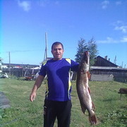 ���������� ���������, ������� ����, 43