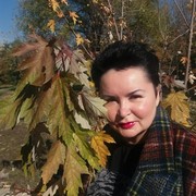 ���������� ������, ���� ������� �����, 50 ���, ������������ ��� ������, ����� � ���������, c�������� ���������