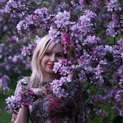   ,   , 44 ,     , c , 