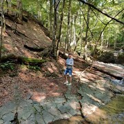 ���������� ����, ���� ������� ��������, 39 ���, ������������ ��� ������, ����� � ���������