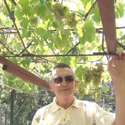 ���������� ������, ���� ������� ����, 72 ����, ������������ 