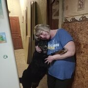   ,   , 58 ,  