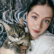 ���������� �������, �����