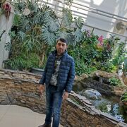 ���������� ������, ���� ������� ���, 38 ���, ������������ ��� ������, ����� � ���������