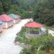  ,   Rasim, 55 ,   ,   , c 