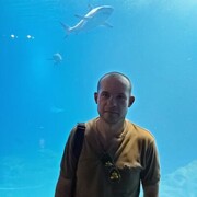  Oborniki Slaskie,  Roman, 31