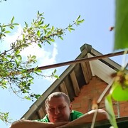 ���������� �����, ���� ������� ���������, 38 ���, ������������ ��� ������, ����� � ���������, c�������� ���������