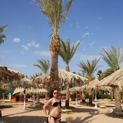 ���������� ����, ���� ������� ���, 38 ���, ������������ ��� ������, ����� � ���������, c�������� ���������