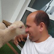 ���������� �����-���������, ���� ������� �����, 38 ���, ������������ ��� ����� � ���������, c�������� ���������