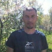  ,   , 41 ,   