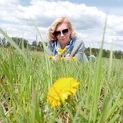 ���������� ������, ���� ������� �������, 50 ���, ������������ ��� ����� � ���������, c�������� ���������