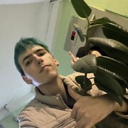 ���������� ������, ���� ����� �����, 20 ���, ������������ ��� ������, ����� � ���������