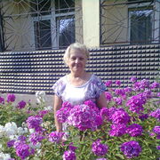 ,   , 53 ,   ,   