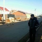  ,   Hovik, 37 ,   