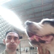  ,   , 52 ,   ,   