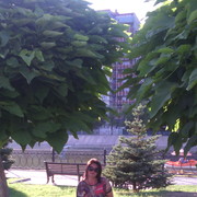  ,   , 48 ,   ,   , c 