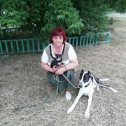 ���������� �������, ���� ������� �������, 56 ���, ������������ ��� ������, ����� � ���������, c�������� ���������