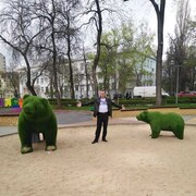 ���������� ������, ���� ������� ������, 38 ���, ������������ ��� ������, ����� � ���������