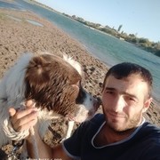  ,   , 38 ,     , c 