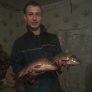 ���������� ������, ���� ������� � ������ ���, 33 ����, ������������ ��� ������