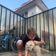 ���������� ������, ���� ������� �����, 26 ���, ������������ ��� ������, ����� � ���������